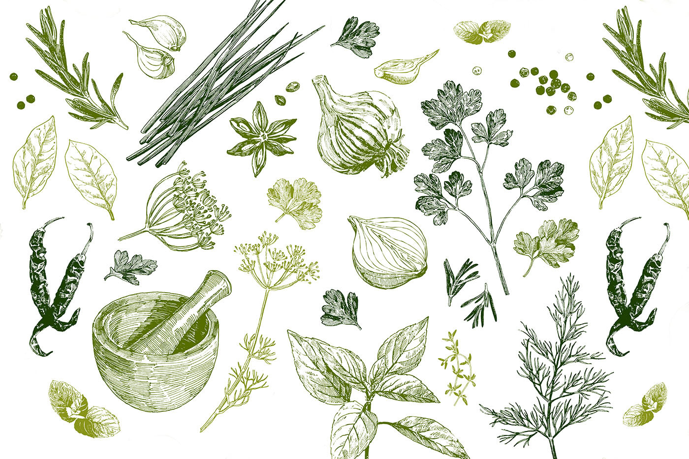 A collection of herbs and spices