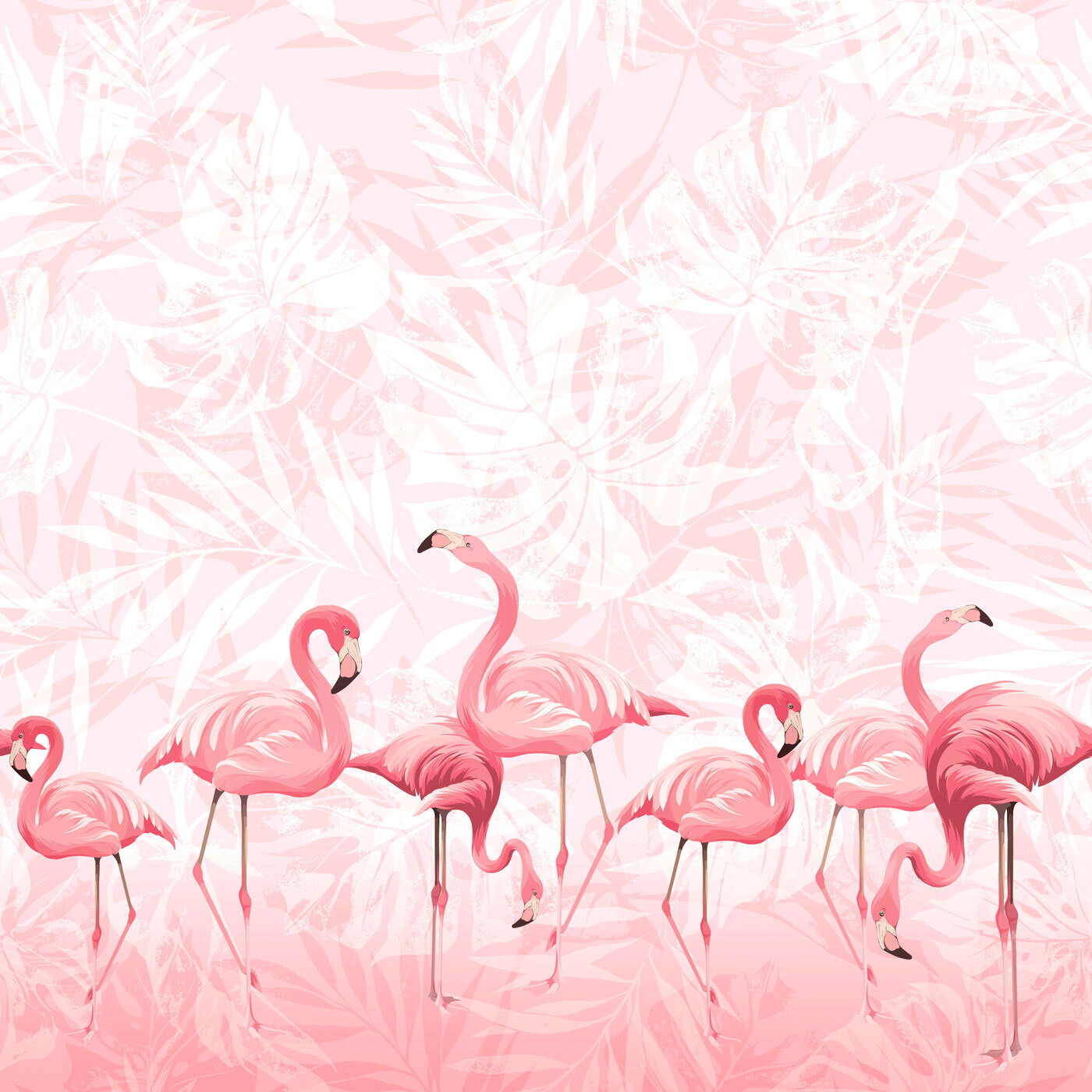 A group of pink flamingos