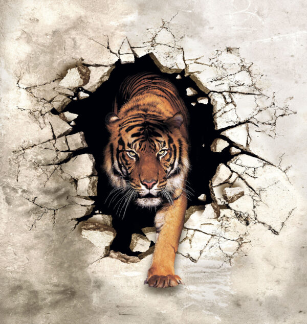 Tiger vychádza z diery v stene Tiger vychádza z diery v stene