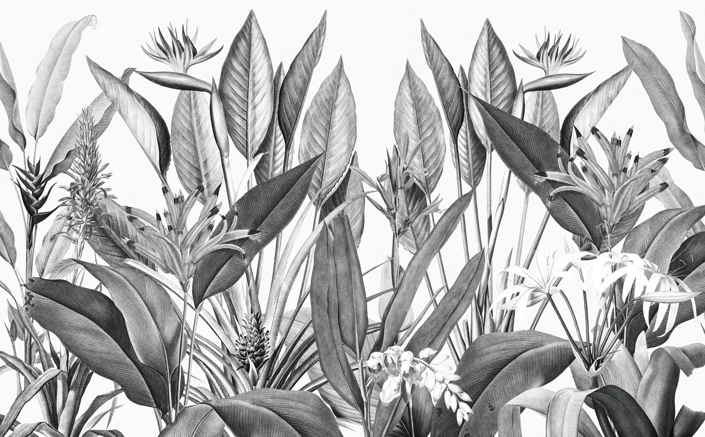 Tropical foliage in monochrome shades