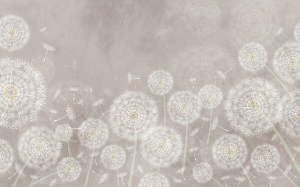 Group of dandelions Group of dandelions