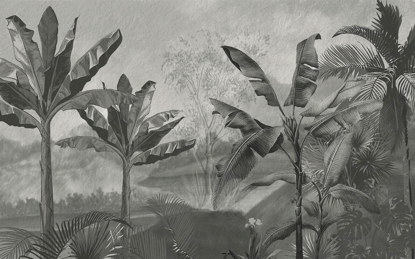 Black and white image of a tropical forest Black and white image of a tropical forest