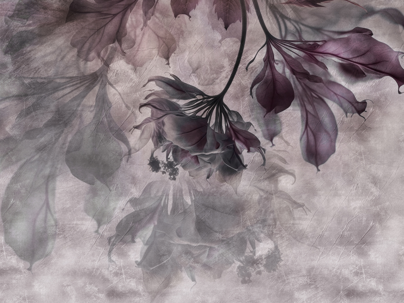 Delicate flowers in soft hues Delicate flowers in soft hues