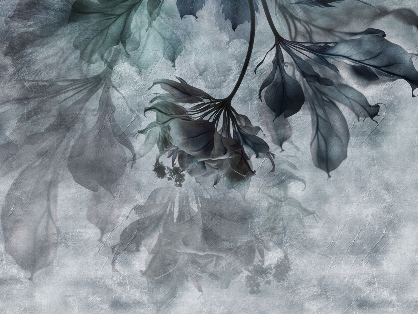 Delicate leaves in soft tones Delicate leaves in soft tones