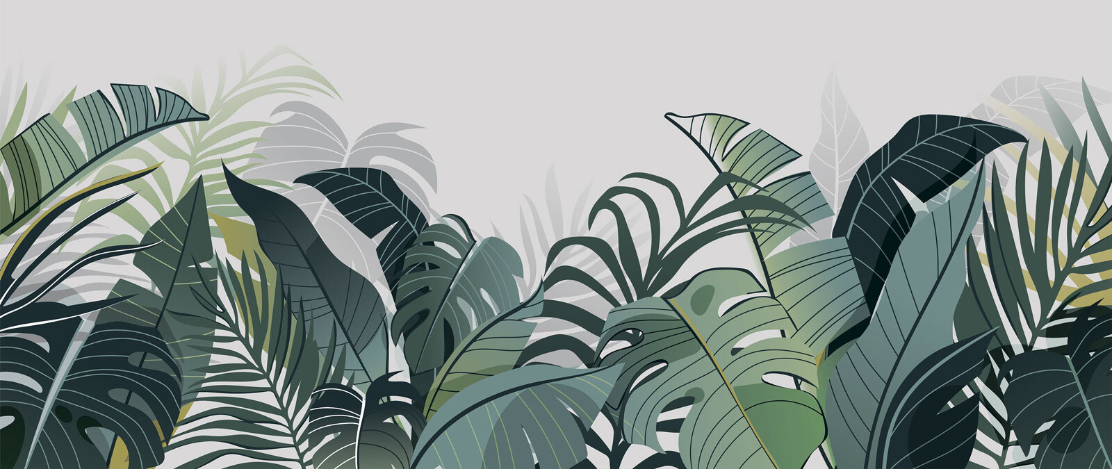 u78576p - Skupina zelených listov - tegory