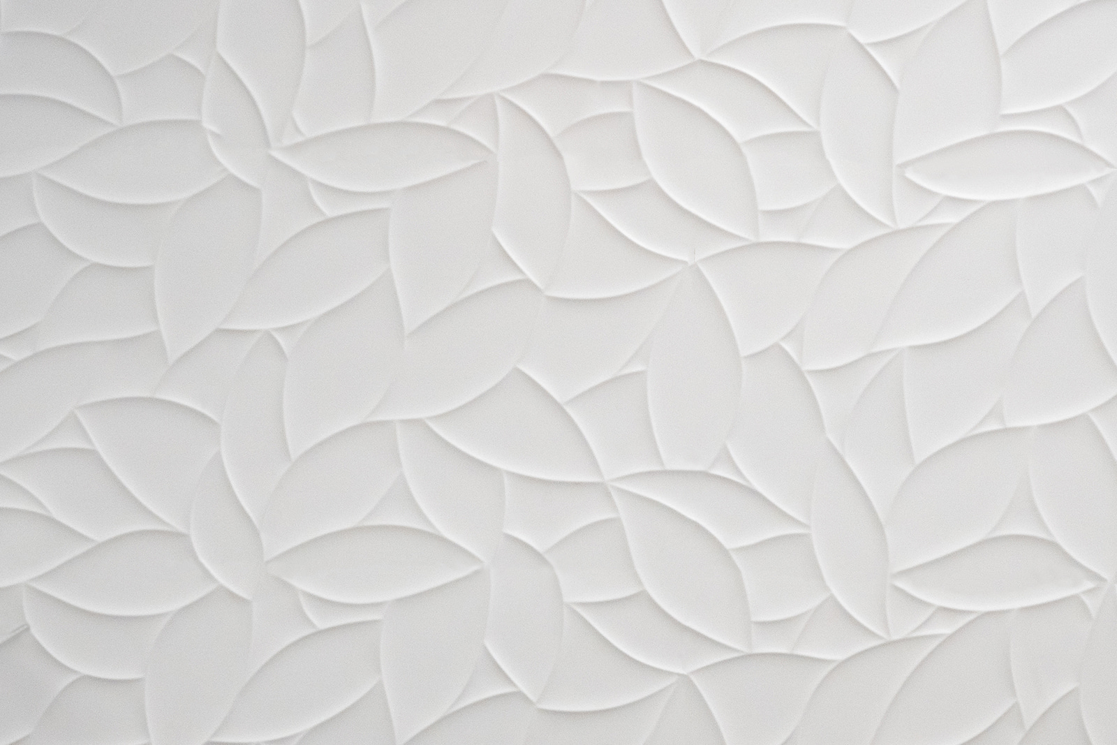 White surface with leaves White surface with leaves