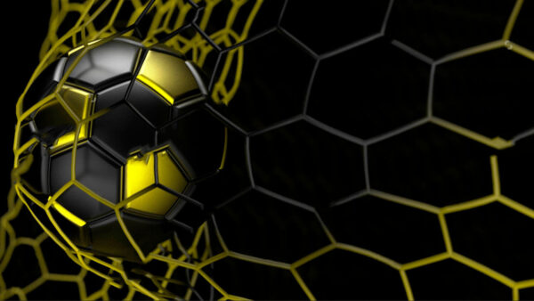Futbalová lopta v sieti Futbalová lopta v sieti