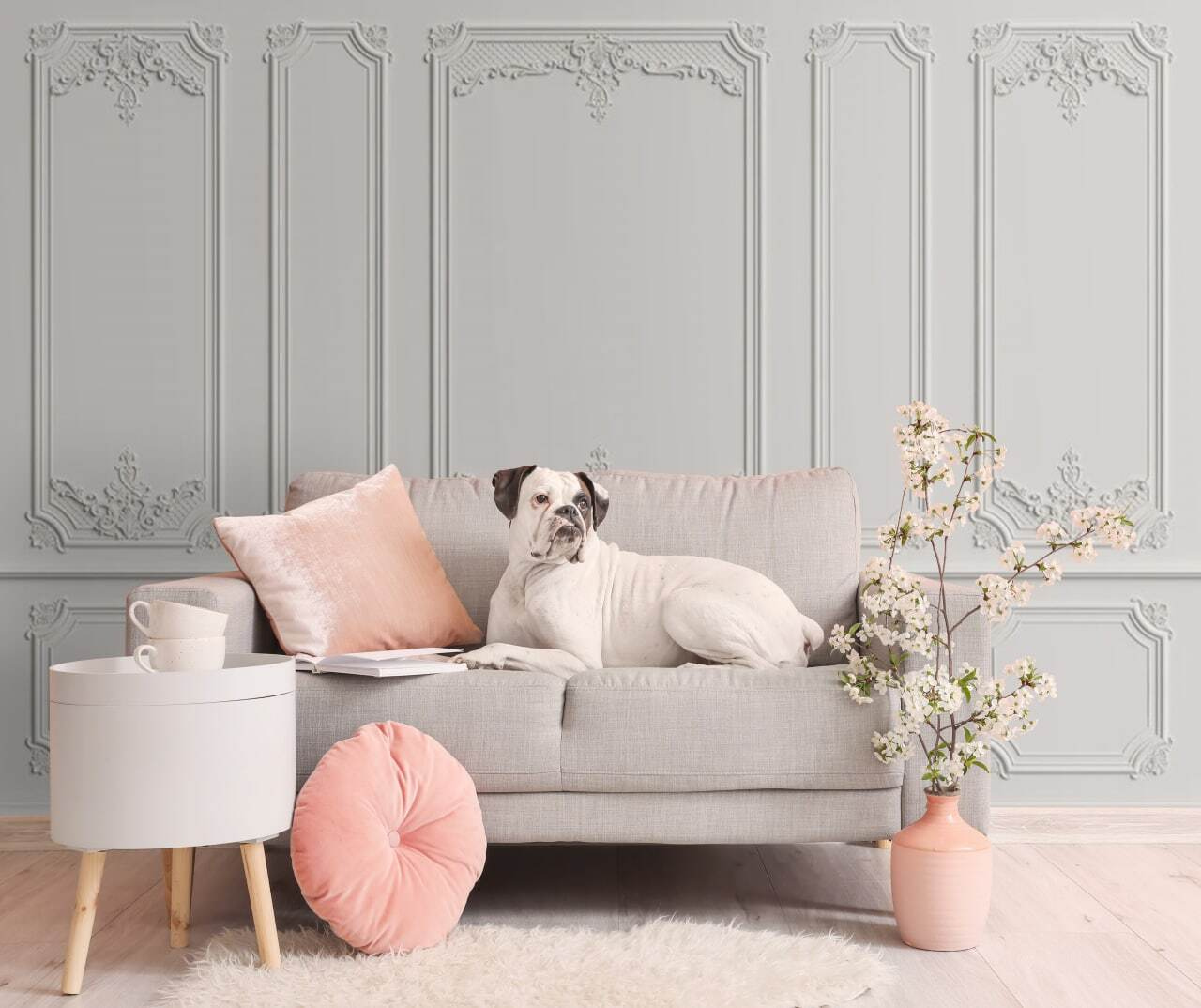 Wall with white walls