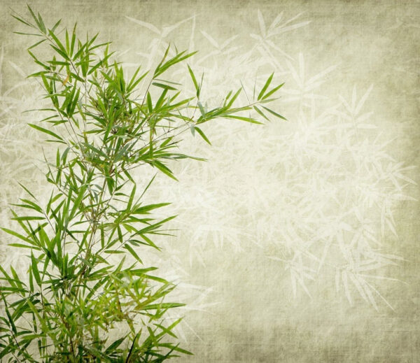 Lush bamboo against a textured background Lush bamboo against a textured background