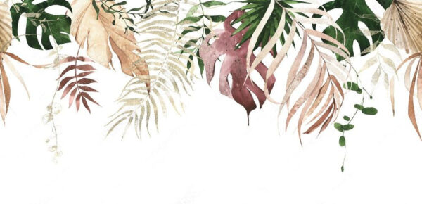 Group of leaves on a white background