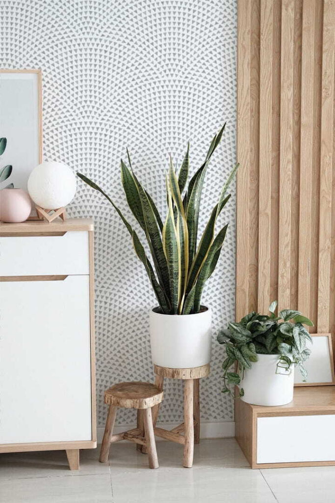 Biele pozadie s modrými bodkami u71192pih1m 683x1024 - Biele pozadie s modrými bodkami - tegory