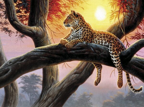 Leopard ležiaci na konári stromu Leopard ležiaci na konári stromu
