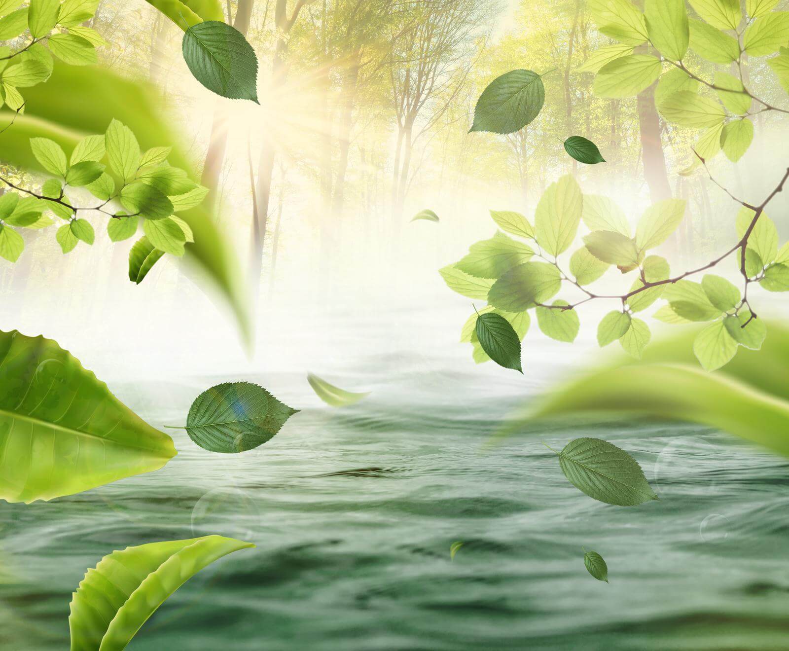 Voda s listami poletujúcimi vo vzduchu u62860p - Voda s listami poletujúcimi vo vzduchu - tegory