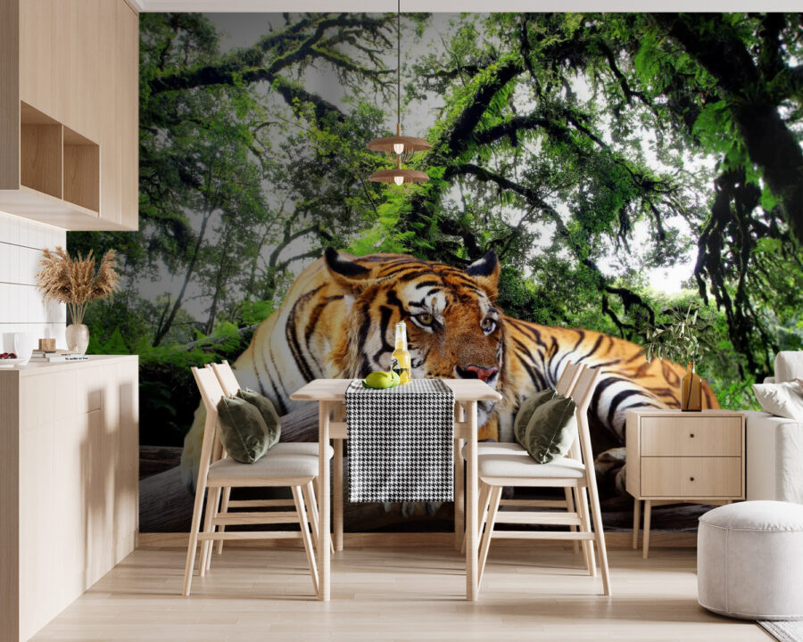 Fototapety Tiger ležiaci na kmeni