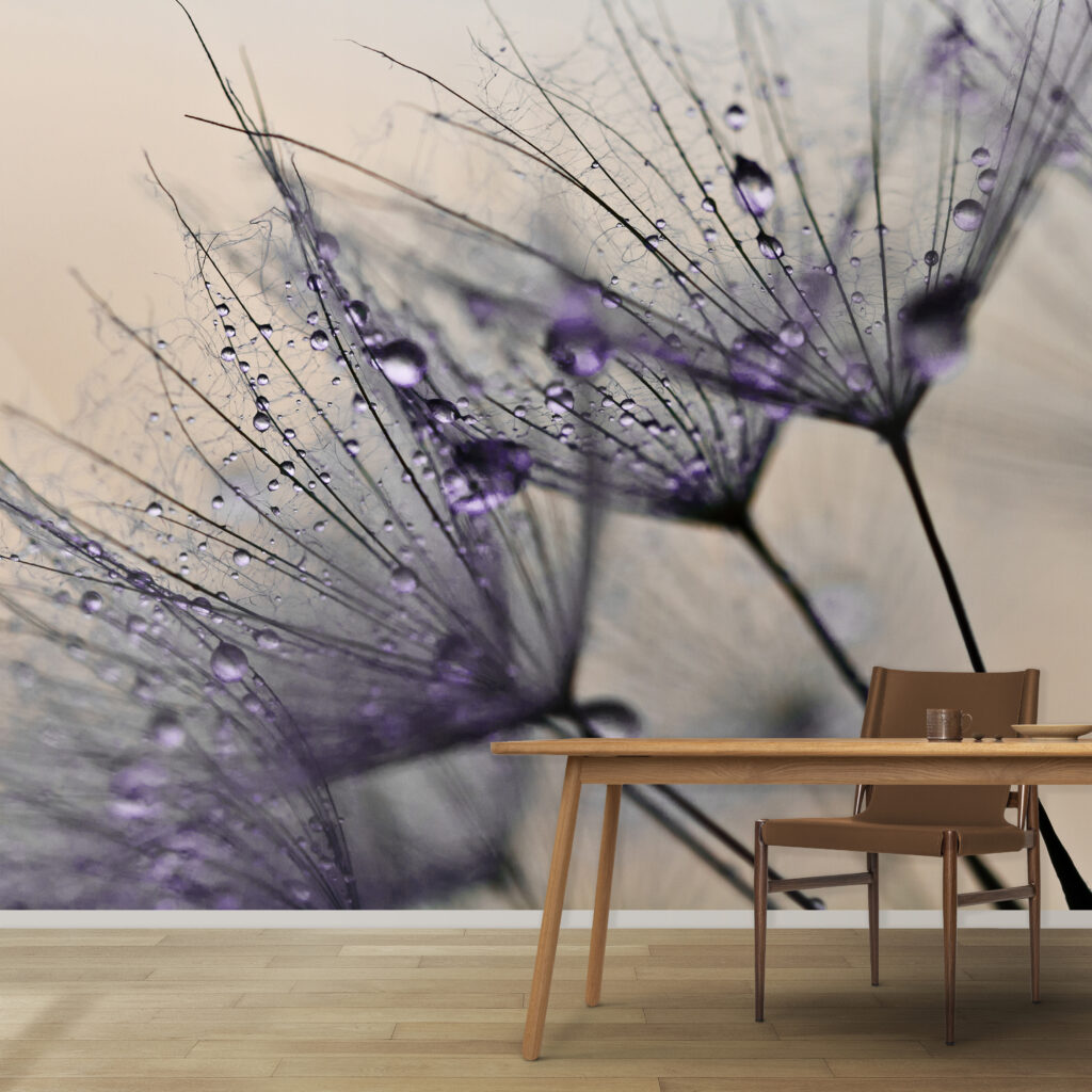 Delicate droplets on fragile petals Delicate droplets on fragile petals