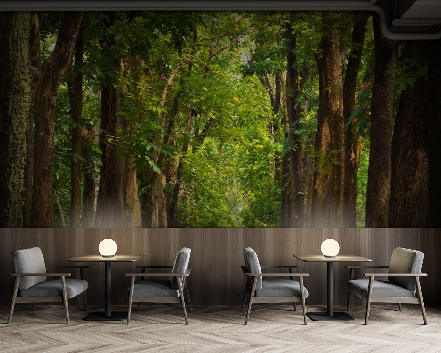 u55418piz137m - Cesta so stromami po stranách - tegory