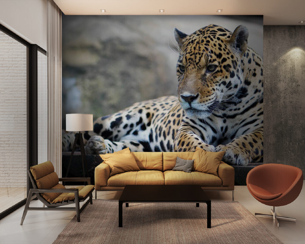 Leopard ležiaci na drevenom povrchu u55313pig28m 1024x819 - Leopard ležiaci na drevenom povrchu - tegory