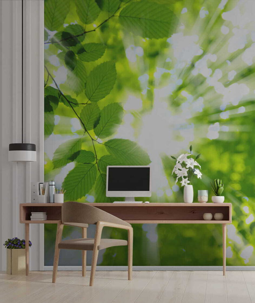 Sun shining through leaves Sun shining through leaves