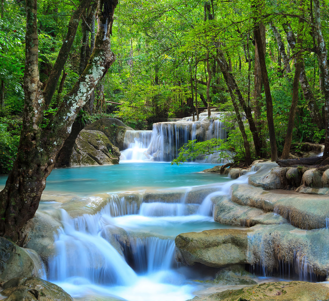 Waterfall in a forest Waterfall in a forest