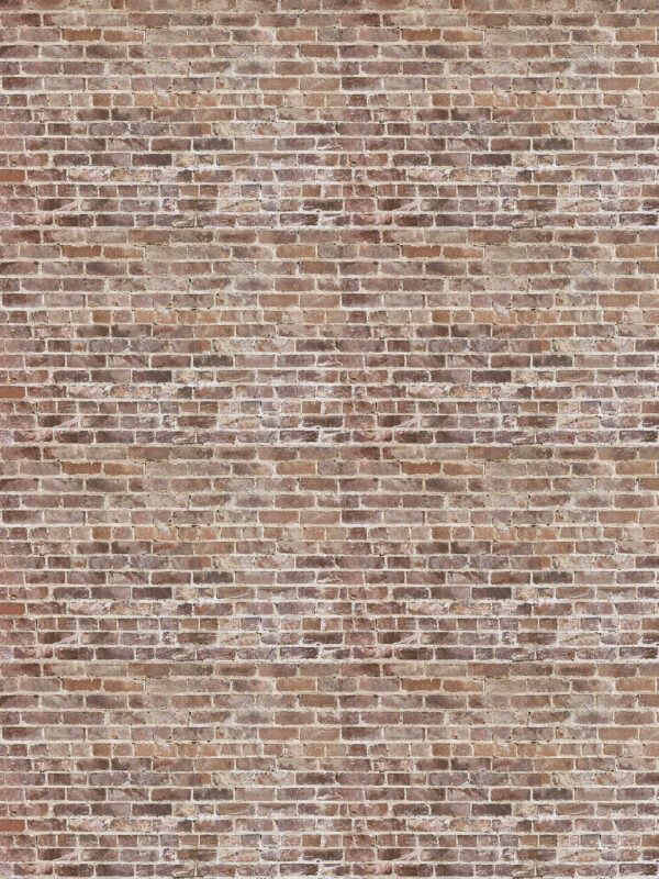 Tehlový múr s mnohými tehlami Tehlový múr s mnohými tehlami