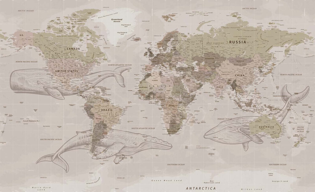 Mapa sveta s veľrybami Mapa sveta s veľrybami