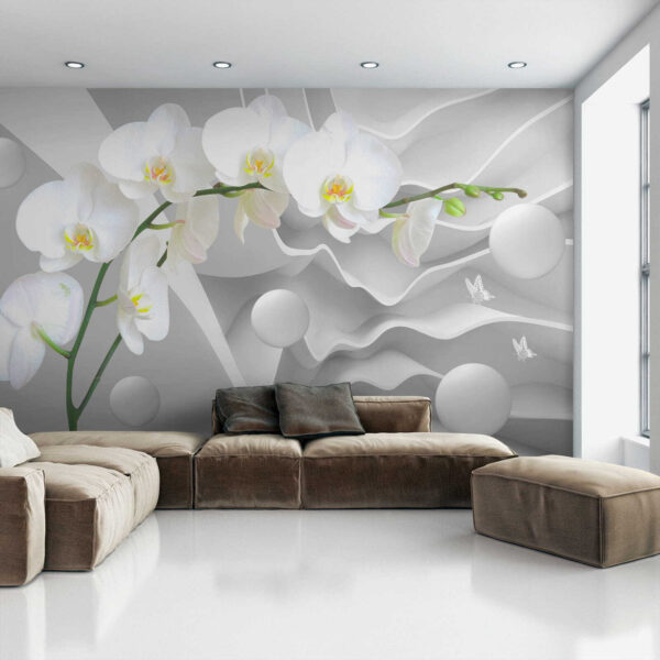 Biele orchidey a biele gule Biele orchidey a biele gule