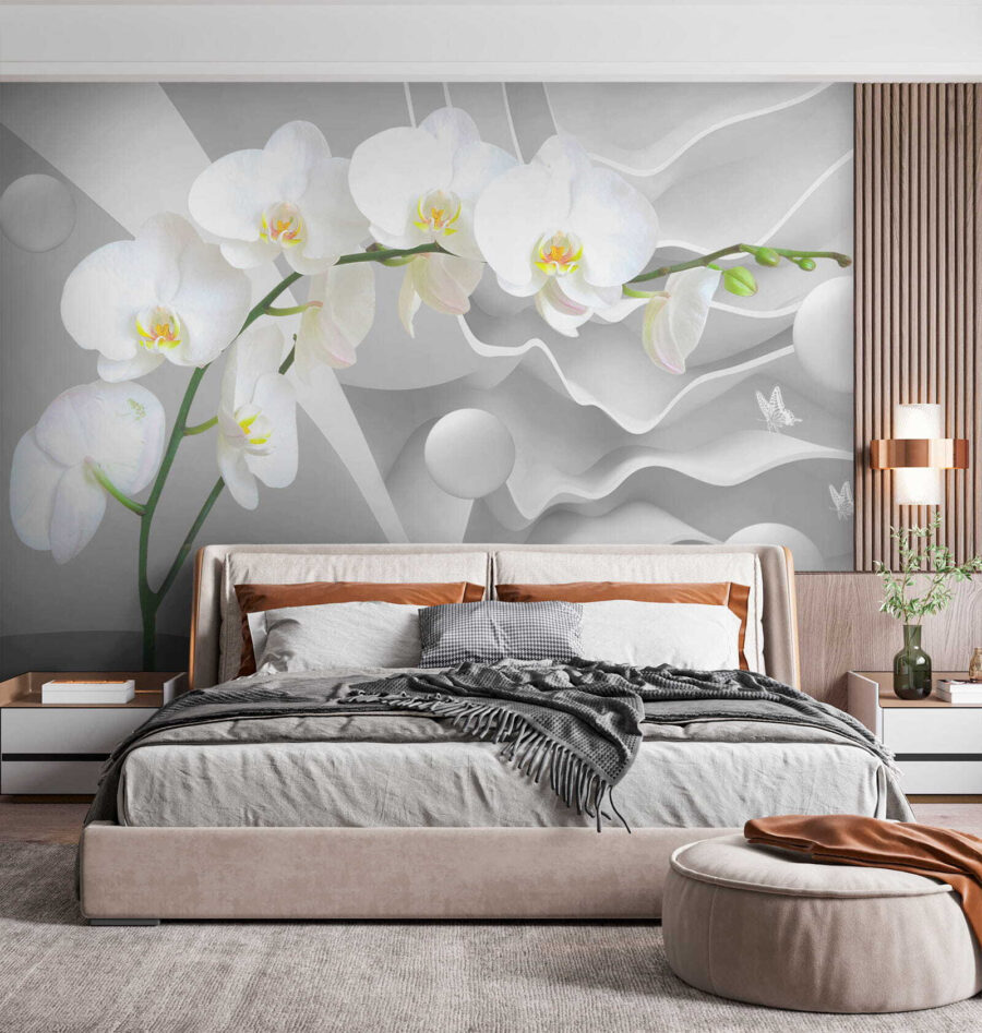 Biele orchidey a biele gule Biele orchidey a biele gule
