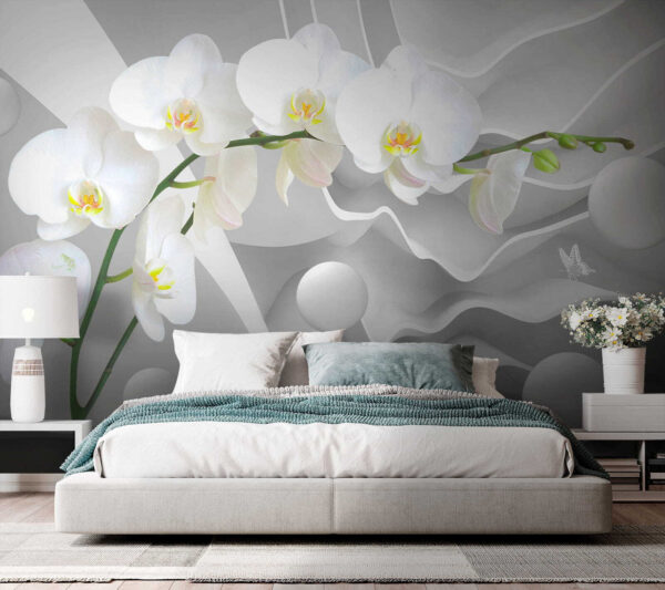 Biele orchidey a biele gule Biele orchidey a biele gule