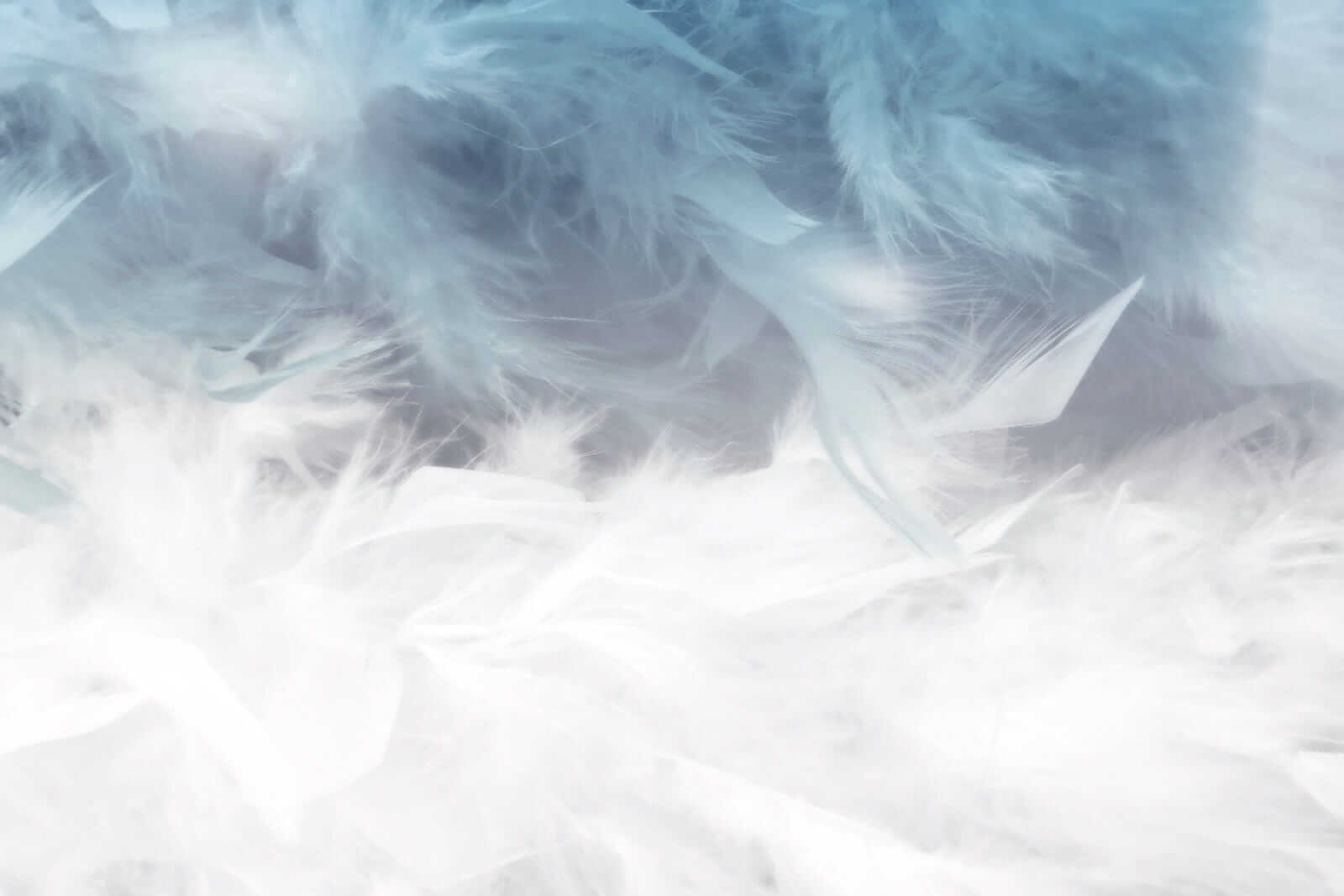 Soft textures in soothing colors Soft textures in soothing colors