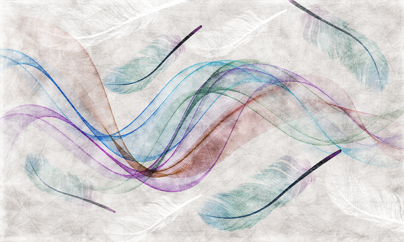 Colorful feathers on a white surface Colorful feathers on a white surface