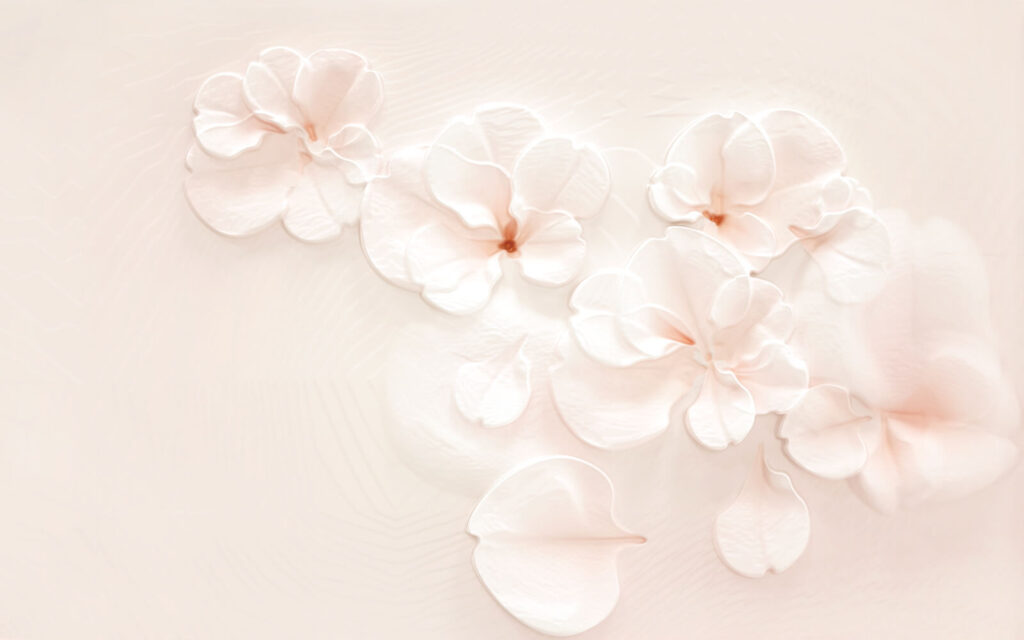 u37030p 1024x640 - Skupina bielych kvetov - tegory