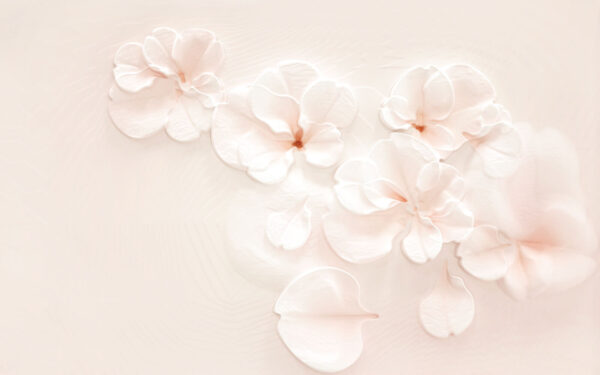 u37030p 600x375 - Skupina bielych kvetov - tegory