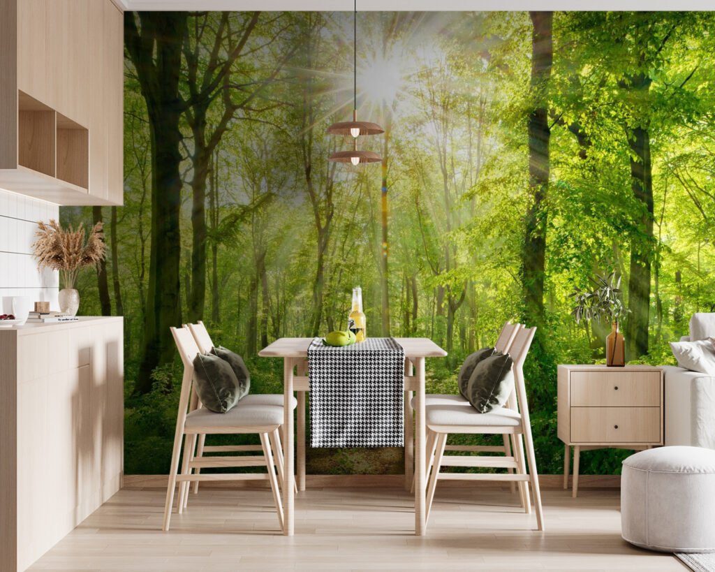 Path through a forest with trees and plants