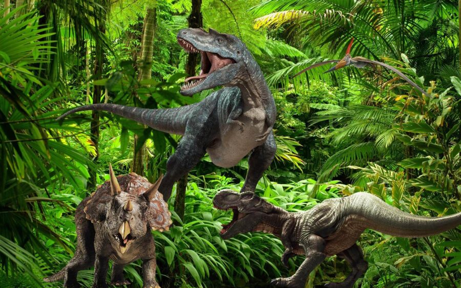 Skupina dinosaurov v lese Skupina dinosaurov v lese