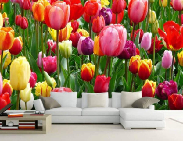 Skupina farebných tulipánov Skupina farebných tulipánov