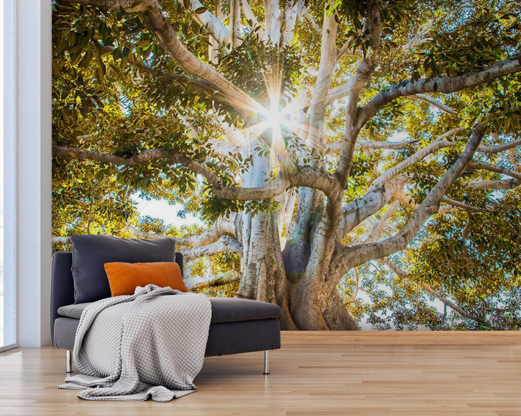 Majestátny strom v žiarivom slnečnom svetle u01271pig25 1024x819 - Majestátny strom v žiarivom slnečnom svetle - tegory