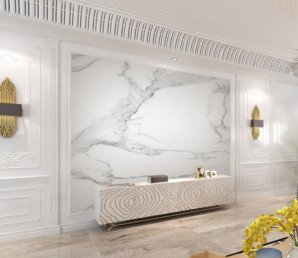 Biely mramorový povrch s čiernymi žilkami u05404pig2m - Biely mramorový povrch s čiernymi žilkami - tegory