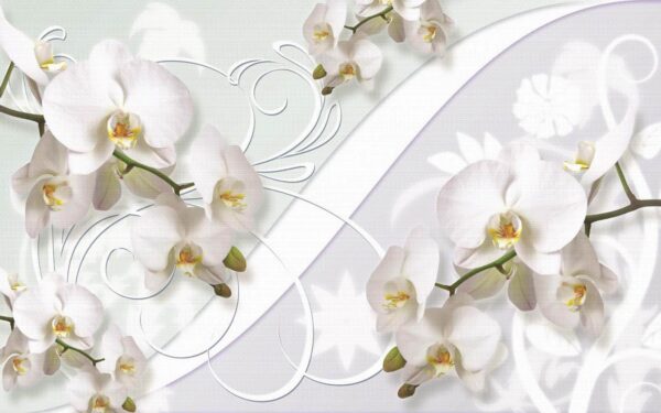Jemné orchidey v jemných odtieňoch Jemné orchidey v jemných odtieňoch