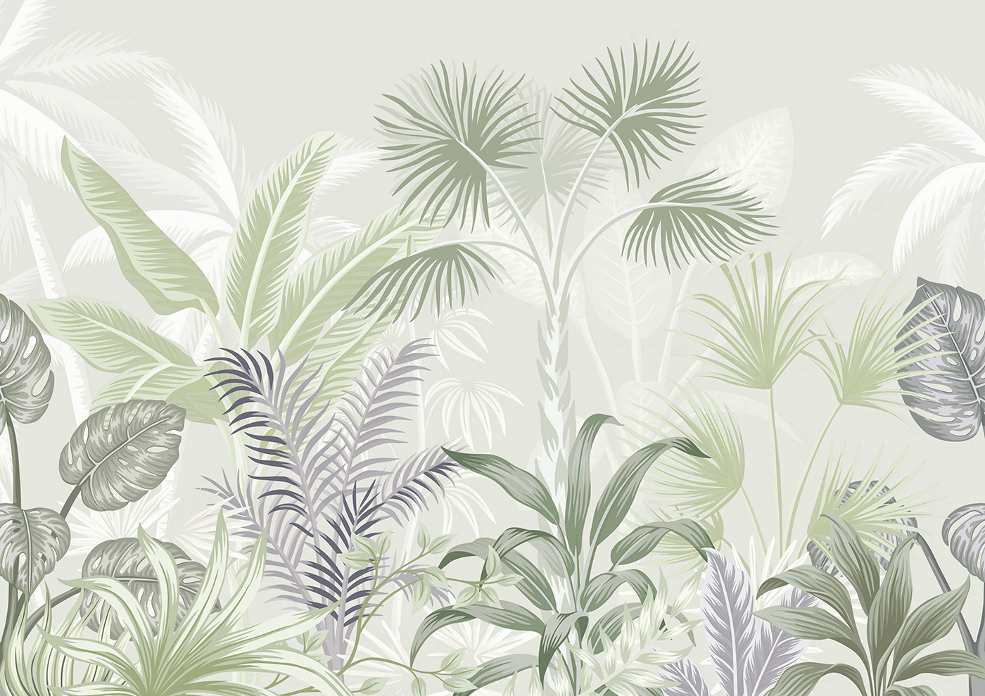 A group of plants with leaves