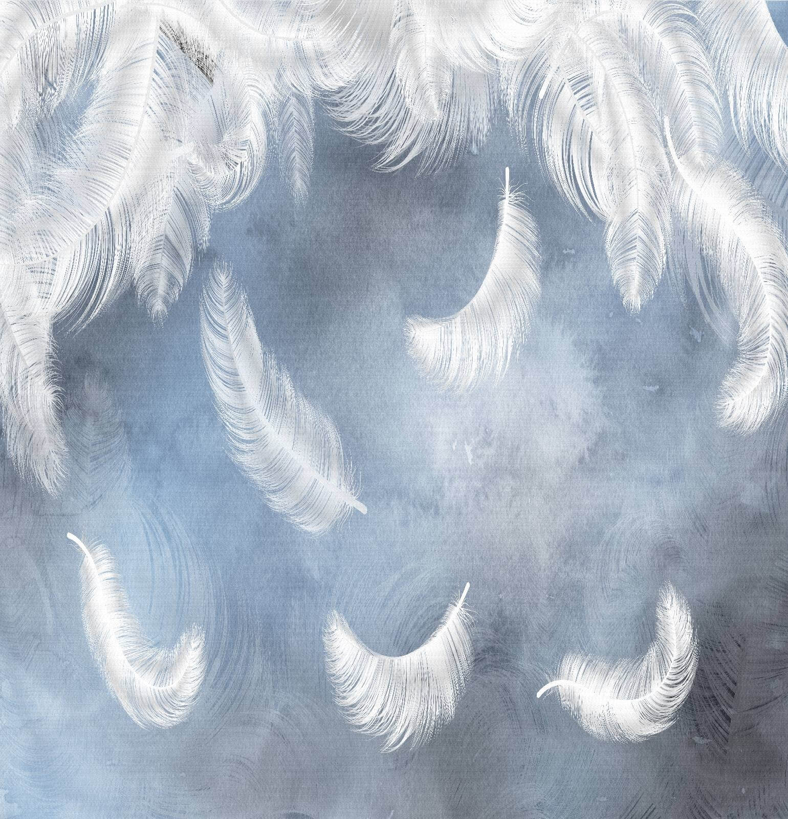 Biele perie na modrom pozadí u23747p - Biele perie na modrom pozadí - tegory