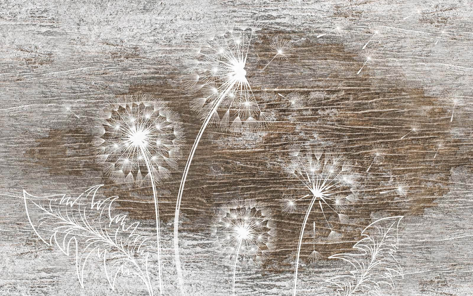 u31086p - Biele púpavy na povrchu dreva - tegory