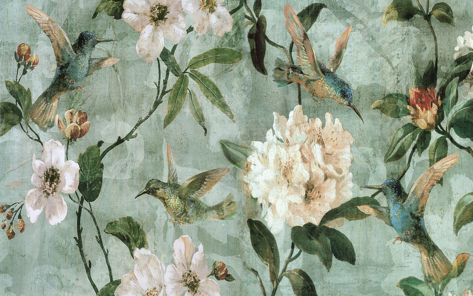 u31277p - Tapety s vtákmi a kvetmi - tegory