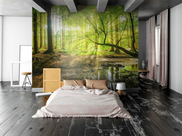 Stream in a forest Stream in a forest