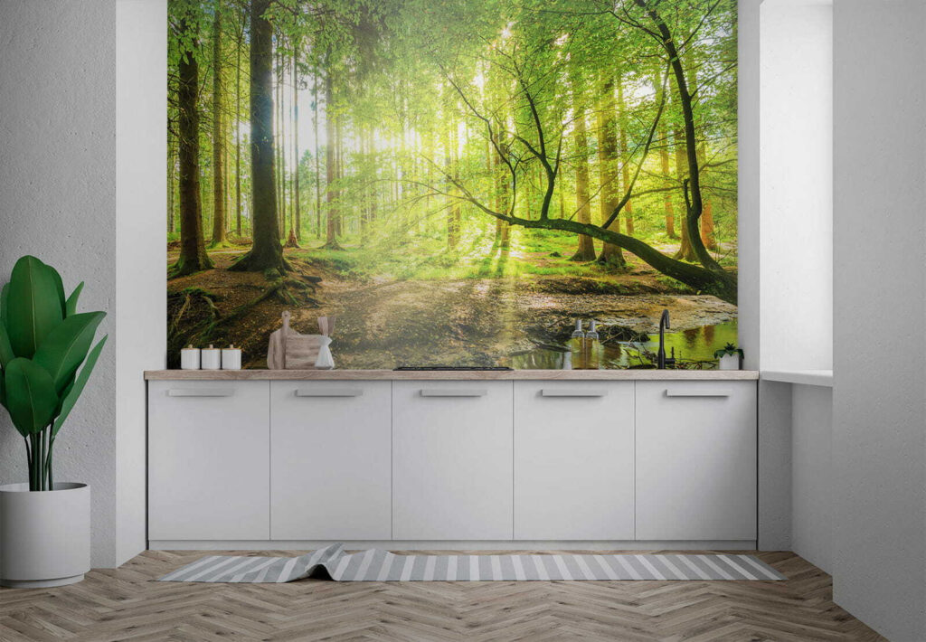 Stream in a forest Stream in a forest