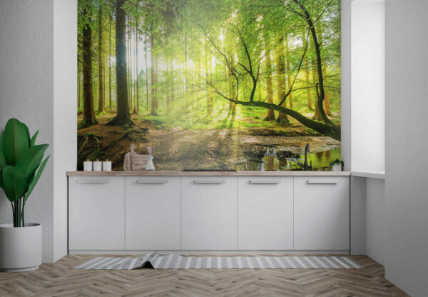 Stream in a forest Stream in a forest