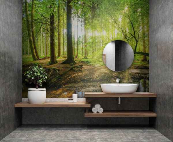 Stream in a forest Stream in a forest