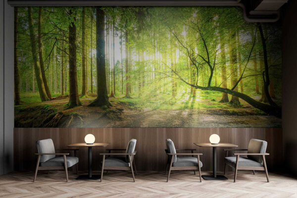 Stream in a forest Stream in a forest