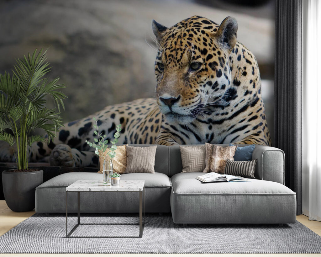 Leopard ležiaci na drevenom povrchu u55313pig53 1024x819 - Leopard ležiaci na drevenom povrchu - tegory