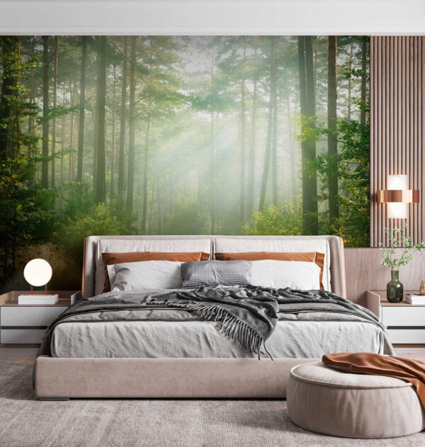 Cesta cez les so stromami a kríkmi Cesta cez les so stromami a kríkmi