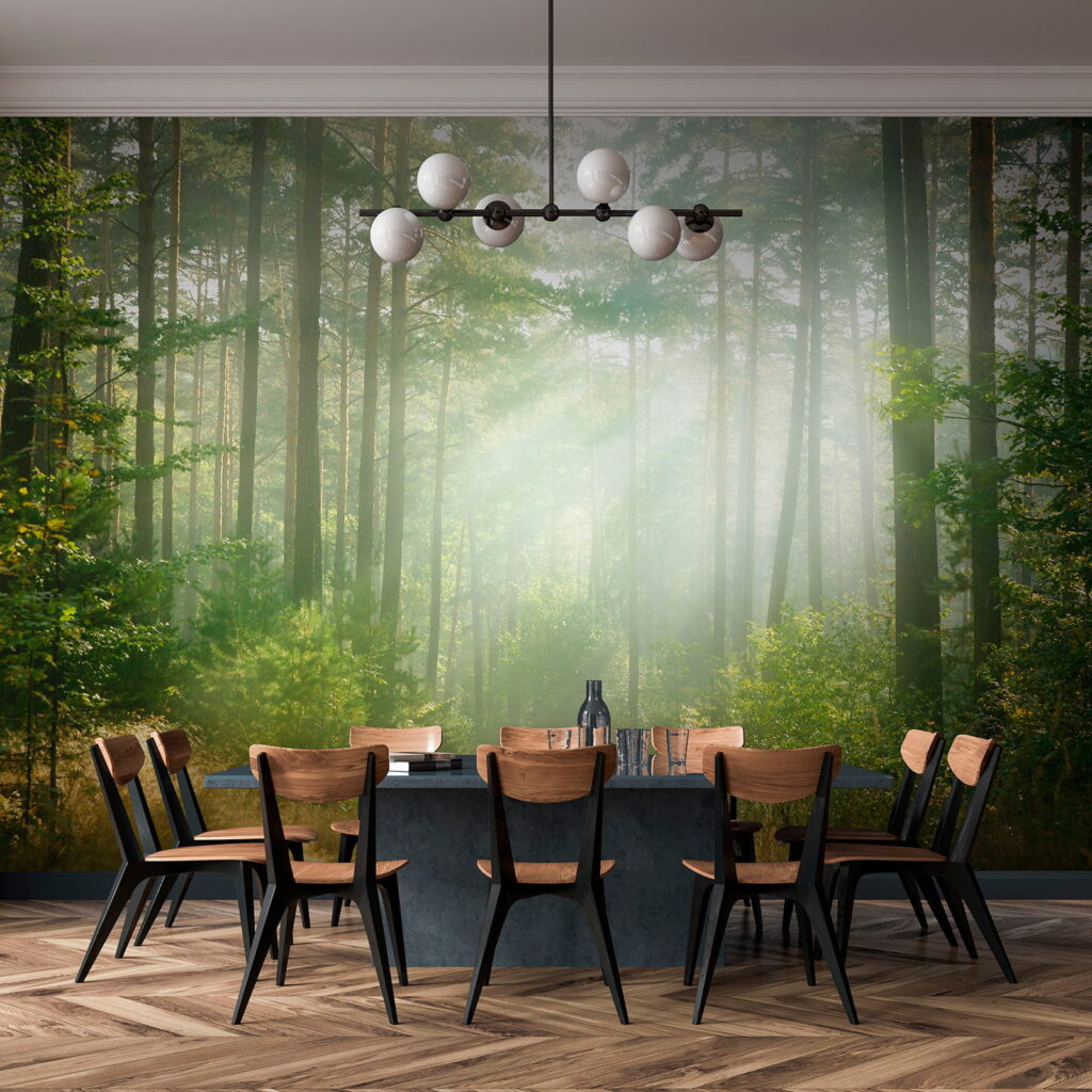 Path through a forest with trees and bushes Path through a forest with trees and bushes